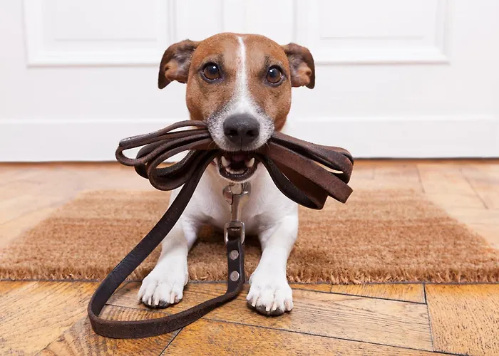 Lägenhet Club House By Schladming-appartements *